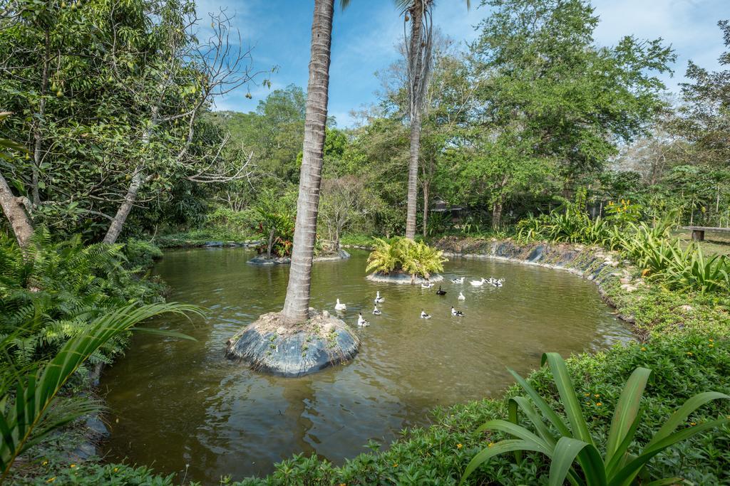 Villa Azalea Inn & Organic Farm JALISCO Екстериор снимка