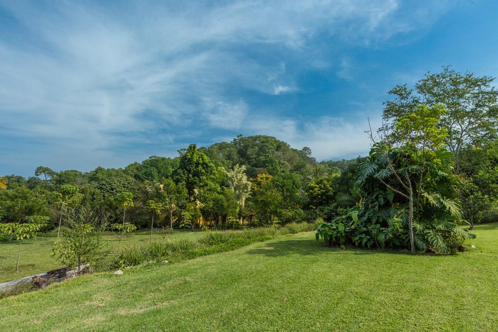 Villa Azalea Inn & Organic Farm JALISCO Екстериор снимка