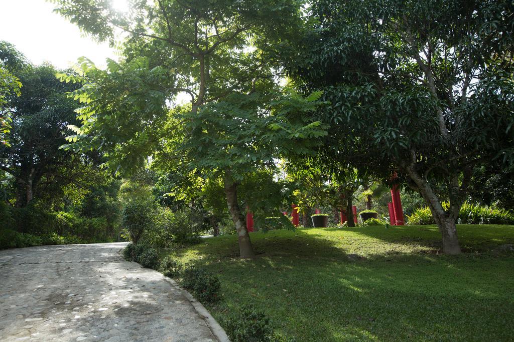 Villa Azalea Inn & Organic Farm JALISCO Екстериор снимка