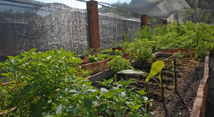 Villa Azalea Inn & Organic Farm JALISCO Екстериор снимка